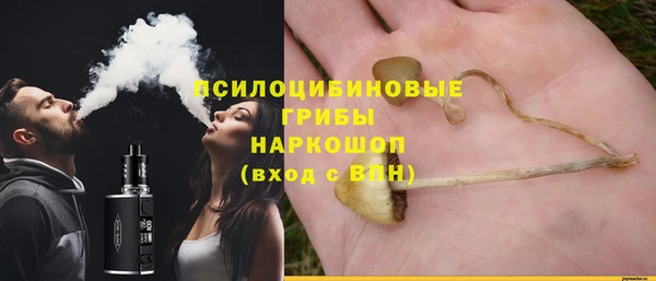 гидропоника Нефтегорск
