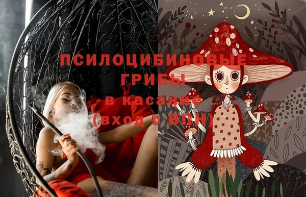 spice Протвино