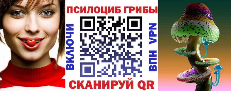 Псилоцибиновые грибы Cubensis Ликино-Дулёво