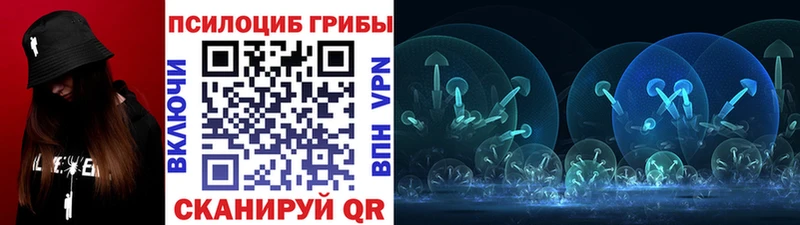 Галлюциногенные грибы MAGIC MUSHROOMS  дарнет шоп  Ликино-Дулёво 